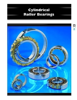 NJ2222EM Cylindrisch rollager 110*200*53 mm voor trekkers en bouwmachines