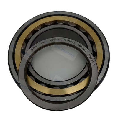 Roller cilindrisch lager NUP2215 NUP2216 NUP2217 NUP2218 F.A.G. Originele