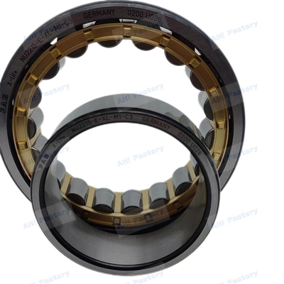 Roller cilindrisch lager NUP2215 NUP2216 NUP2217 NUP2218 F.A.G. Originele