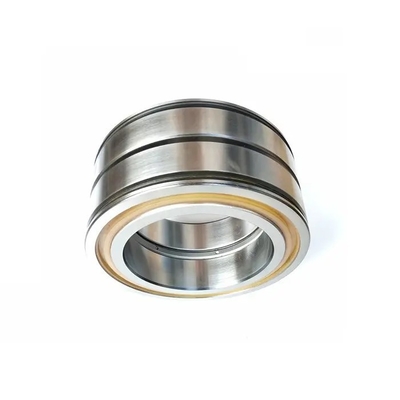 SL045004PP2NR Dubbele rij volcomplementaire cilindrische rollagers voor tractormachines