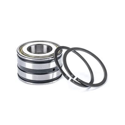 SL045004PP2NR Dubbele rij volcomplementaire cilindrische rollagers voor tractormachines